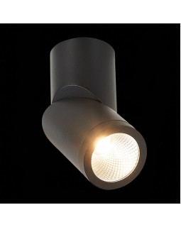 Влагозащищенный светильник ST-Luce ST650.432.10-foto5