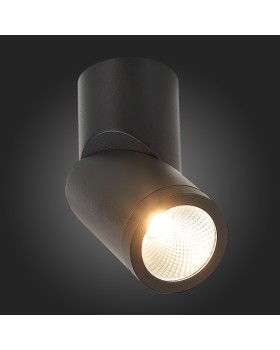 Влагозащищенный светильник ST-Luce ST650.432.10-foto6