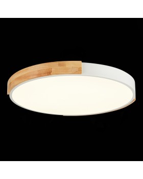 Накладной светильник Evoluce SLE201352-01-foto6