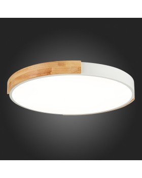 Накладной светильник Evoluce SLE201352-01-foto9