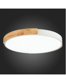 Накладной светильник Evoluce SLE201352-01-foto11