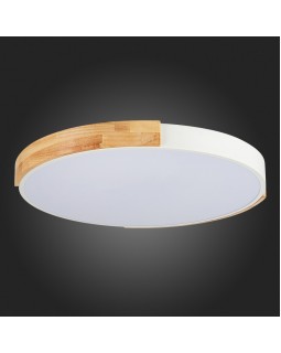 Накладной светильник Evoluce SLE201352-01-foto12