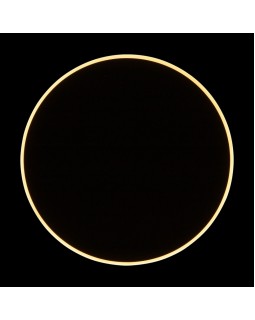 Бра Freya FR6002WL-L20B-foto20