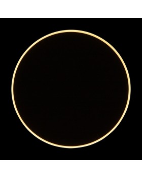 Бра Freya FR6002WL-L20B-foto20