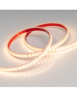 Лента Arlight 018997(2)-foto2