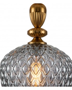 Подвесной светильник Indigo V000128-foto2