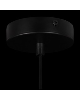 Подвесной светильник Freya FR8011PL-01N-foto5