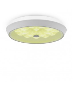 Накладной светильник Freya FR10012CL-L24W-foto2