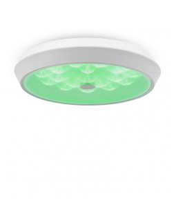 Накладной светильник Freya FR10012CL-L24W-foto3