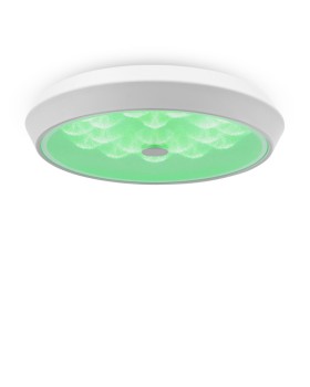 Накладной светильник Freya FR10012CL-L24W-foto3