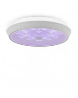 Накладной светильник Freya FR10012CL-L24W-foto4