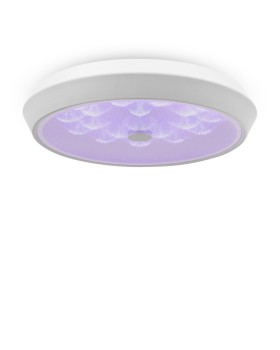 Накладной светильник Freya FR10012CL-L24W-foto4