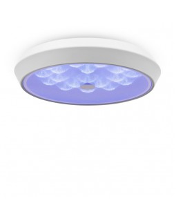 Накладной светильник Freya FR10012CL-L24W-foto5