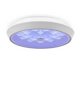 Накладной светильник Freya FR10012CL-L24W-foto5