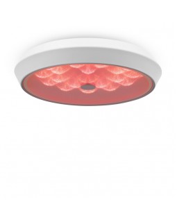 Накладной светильник Freya FR10012CL-L24W-foto6