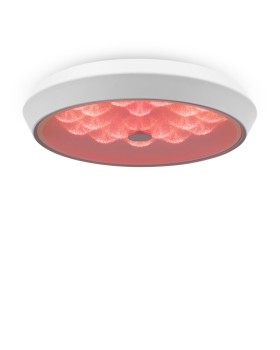 Накладной светильник Freya FR10012CL-L24W-foto6