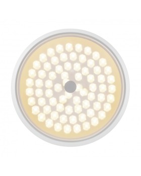 Накладной светильник Freya FR10012CL-L24W-foto7