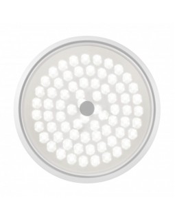 Накладной светильник Freya FR10012CL-L24W-foto8