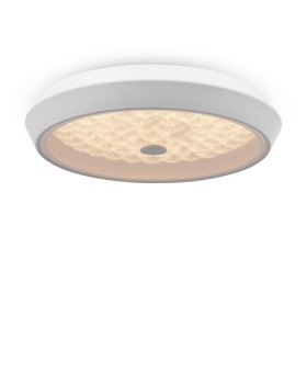 Накладной светильник Freya FR10012CL-L24W-foto9