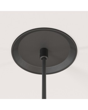 Подвесной светильник Maytoni Technical P039PL-5W4K-20INS-B-foto6