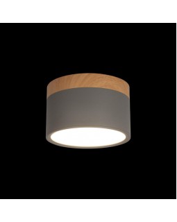 Детский светильник LOFT IT 10162 Grey-foto2