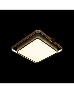 Накладной светильник LOFT IT 10171-foto2