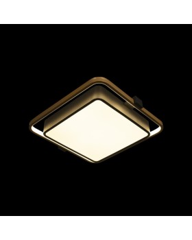 Накладной светильник LOFT IT 10171-foto2