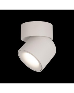 Накладной светильник LOFT IT 10180 White-foto2