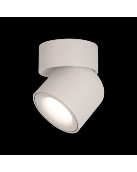 Накладной светильник LOFT IT 10180 White-foto2