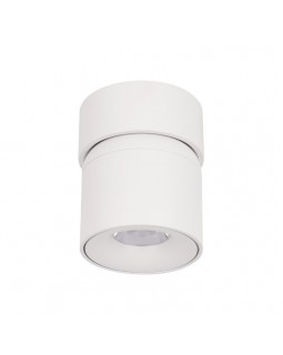 Накладной светильник LOFT IT 10180 White-foto4
