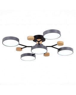 Люстра на штанге Evoluce SLE6006-702-05-foto4