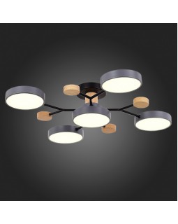 Люстра на штанге Evoluce SLE6006-702-05-foto7