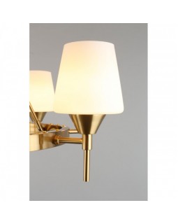 Подвесная люстра APLOYT APL.840.03.08-foto6