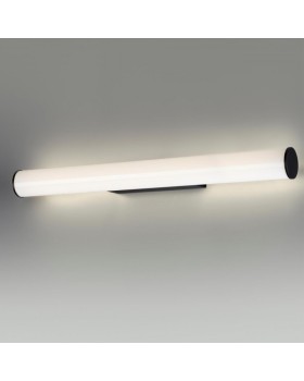 Светильник для картин Odeon Light 6617/12WL-foto3
