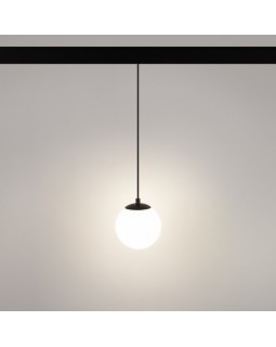 Светильник на шине Arlight 035759-foto2