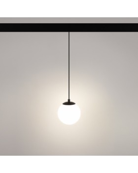 Светильник на шине Arlight 035759-foto2