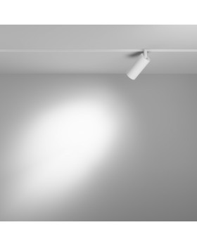 Светильник на шине Maytoni Technical TR032-4-5W3K-S-DS-W-foto4