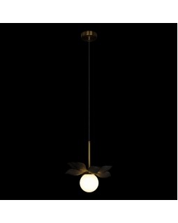 Подвесной светильник LOFT IT 10213/B Black-foto2