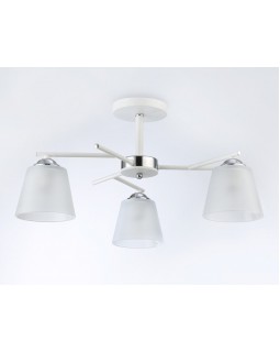 Накладной светильник Ambrella Light TR303202-foto2