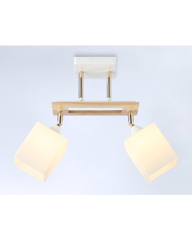 Накладной светильник Ambrella Light TR9501-foto2