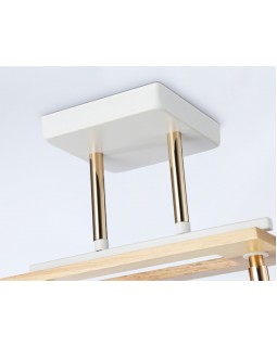 Накладной светильник Ambrella Light TR9501-foto4