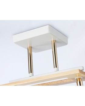 Накладной светильник Ambrella Light TR9501-foto4