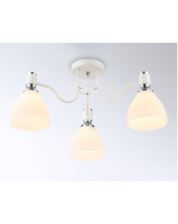 Накладной светильник Ambrella Light TR303302-foto2