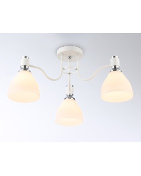 Накладной светильник Ambrella Light TR303302-foto2
