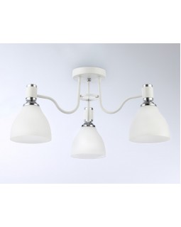 Накладной светильник Ambrella Light TR303302-foto4