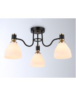 Накладной светильник Ambrella Light TR303303-foto2
