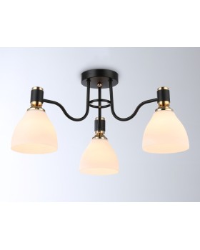 Накладной светильник Ambrella Light TR303303-foto2