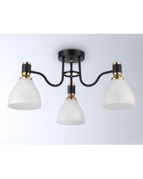 Накладной светильник Ambrella Light TR303303-foto4