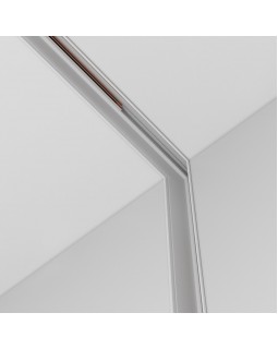 Коннектор Maytoni Technical TRA034CL-42.12W-foto4