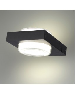 Светильник настенный Odeon Light 6654/6WL-foto3